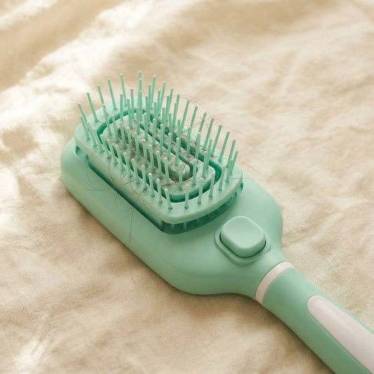 Self-Cleaning Hairbrush